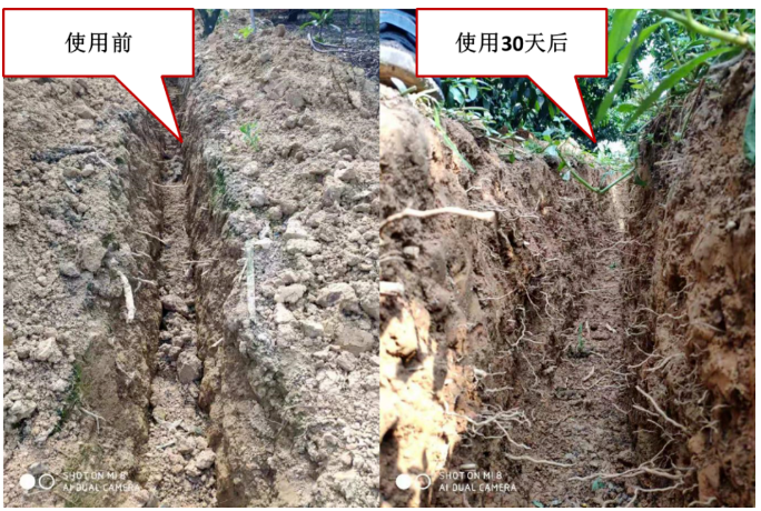 “土壤板結(jié)克星”：土壤調(diào)理劑你了解多少？