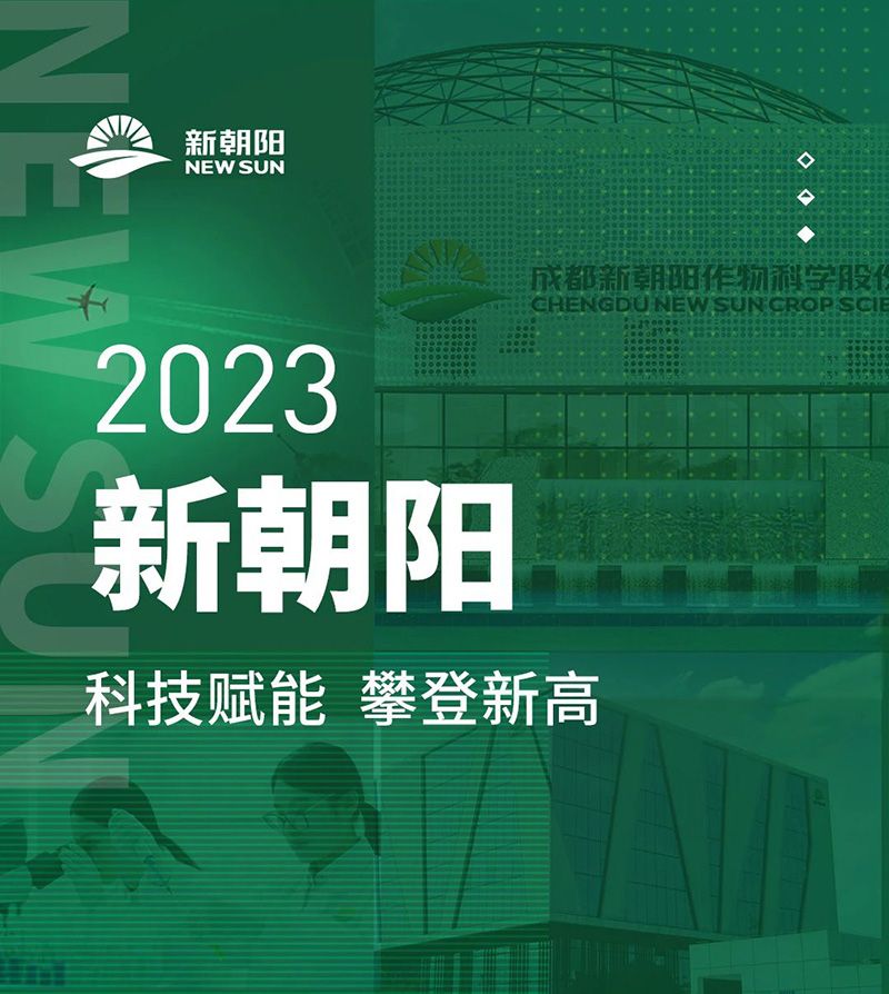 2023新朝陽 